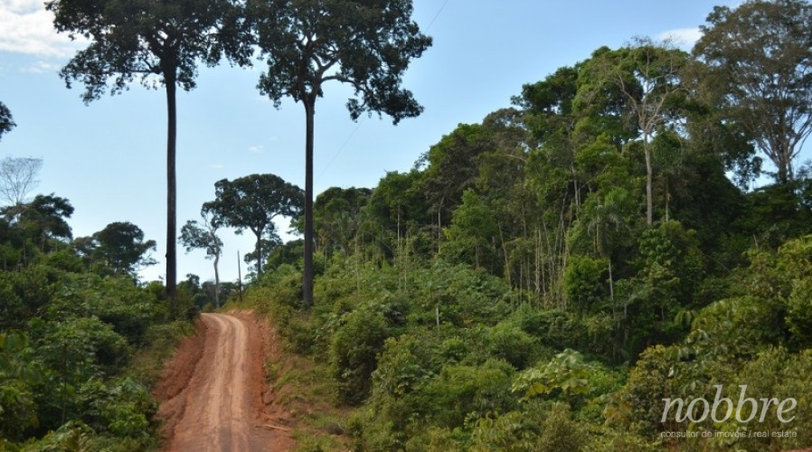 Fazenda para vender em Roraima. Amazonas